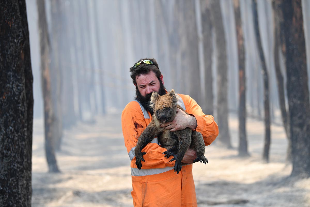 Feuer in Australien